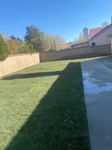 Salazar Landscaping LLC (4)