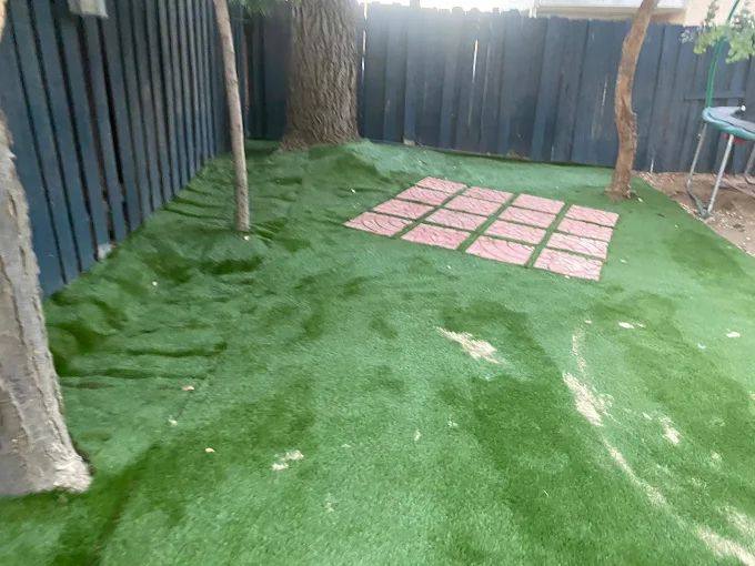 Salazar Landscaping LLC (7)