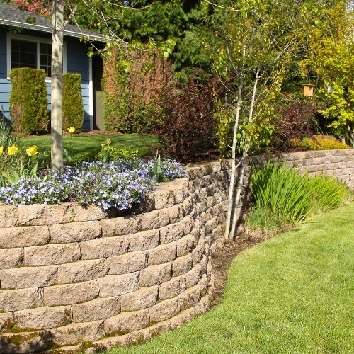 salazar landscaping (1)